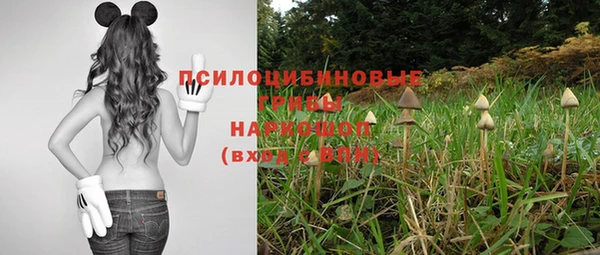 мдпв Надым